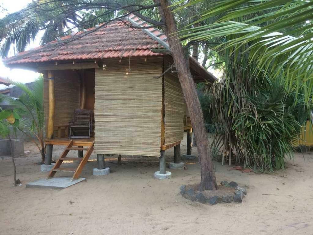 Albero Cabanas Arugam Bay Quarto foto